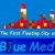 Logo del Progetto di Consorzio per lo  Sviluppo di  " Blue  Med Islands "  Una Citta  Galleggiante  Mediterranean Sea