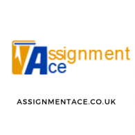 Logo del Progetto di Business Projects Assignment Experts in UK