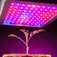 Logo del Progetto di LED Grow Lights Use HOW MANY WATTS?!