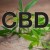 Logo del Progetto di The Best Guide To Types Of Cbd Products - Esohealth