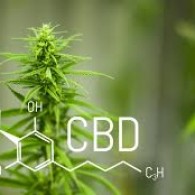 Logo del Progetto di The Ultimate Guide To Best Cbd Oil For Anxiety & Depression And How To Use It [Nov ...