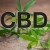 Logo del Progetto di Things about Cbd Overdose: How Cbd Can Cause An Overdose