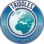 Logo del Progetto di Triddles