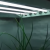 Logo del Progetto di Which are the best indoor plant lights for you?